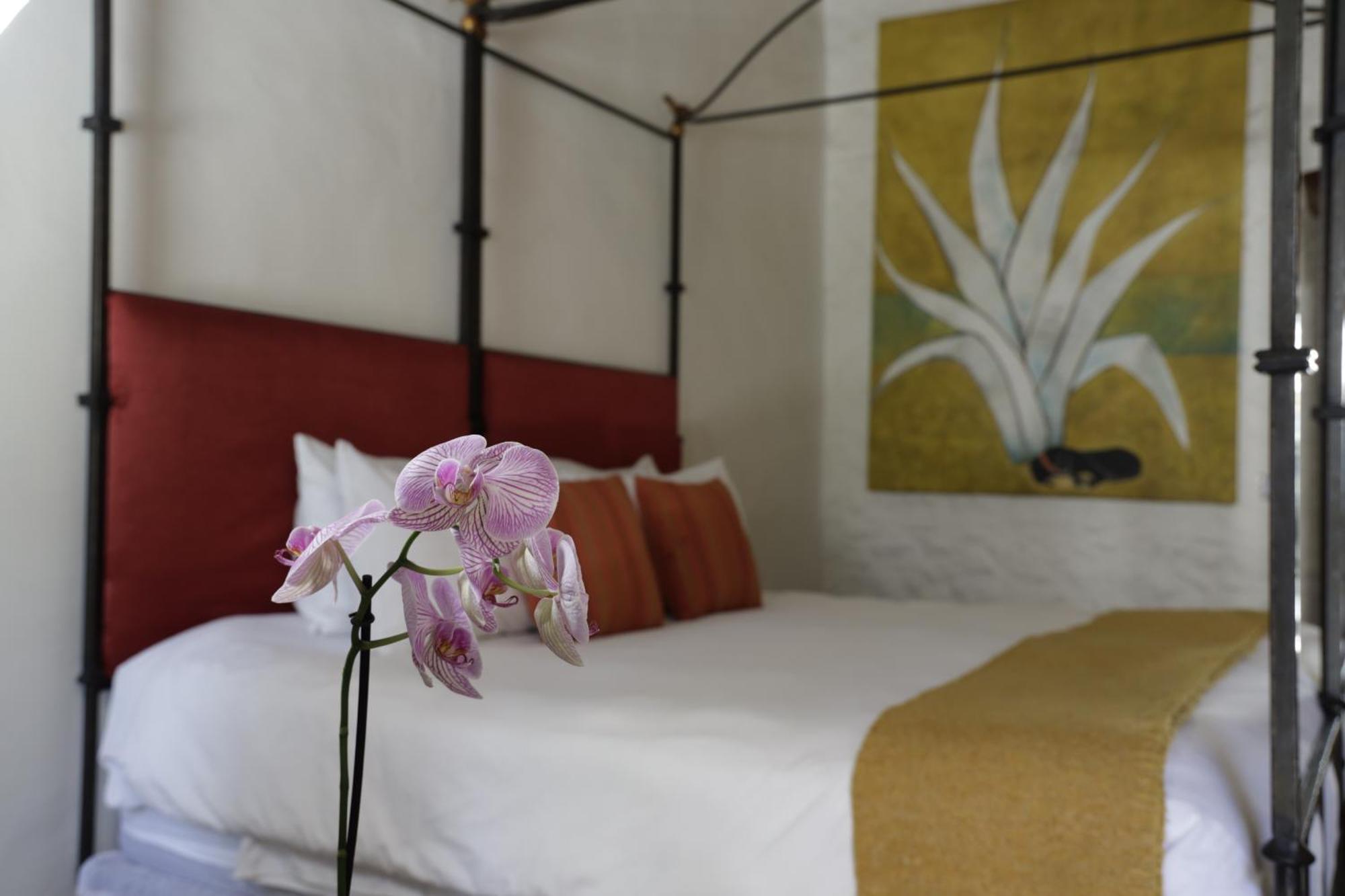 Orchid House 산미겔데아옌데 외부 사진